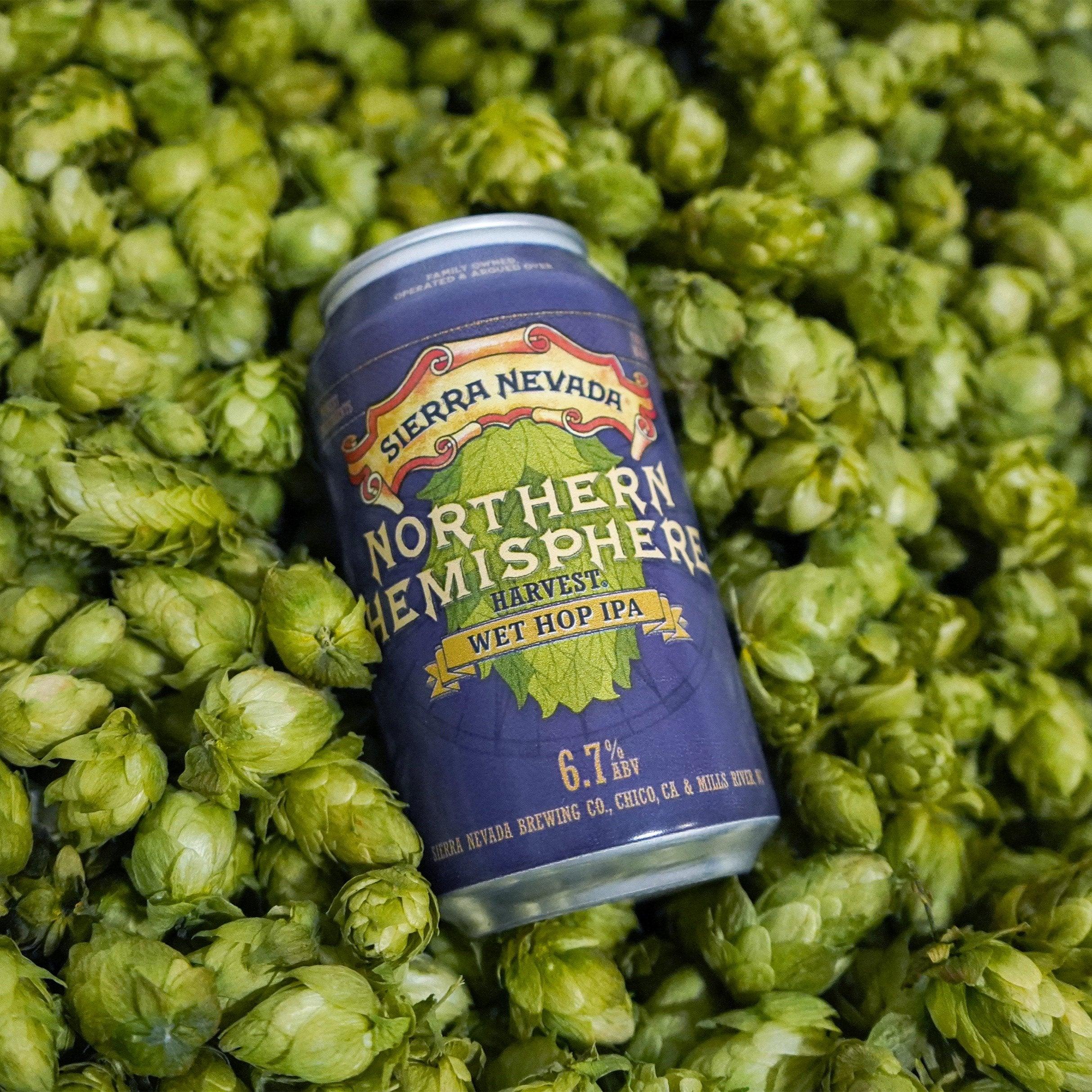 Sierra Nevada Northern Hemisphere Wet Hop IPA can laying on a bed of fresh hops