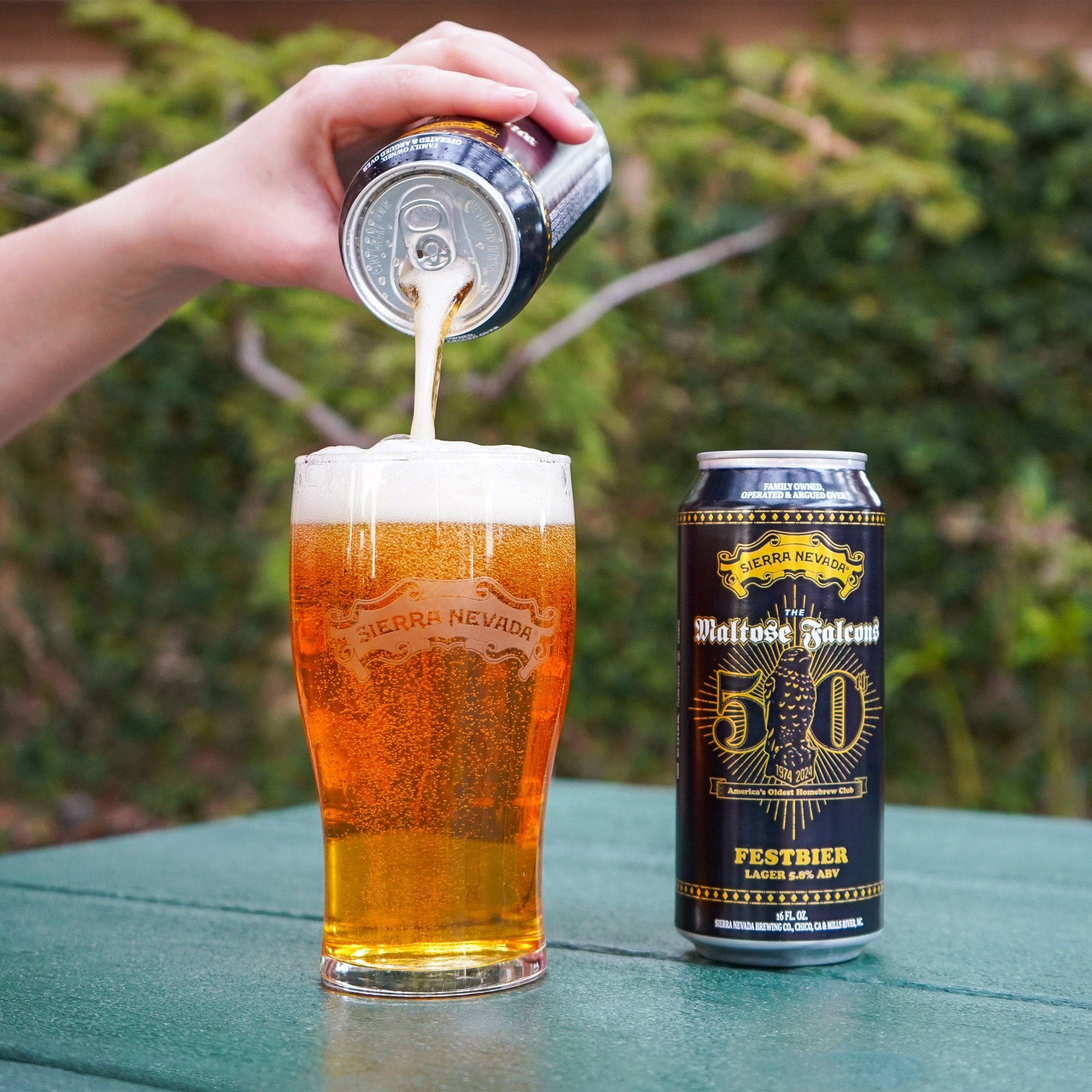 A person pours a Sierra Nevada Maltose Falcons Festbier into a pint glass