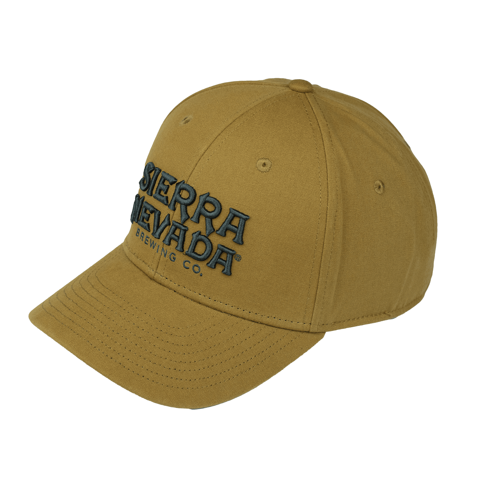 SNBC Raised Wordmark Cap in Dark Khaki