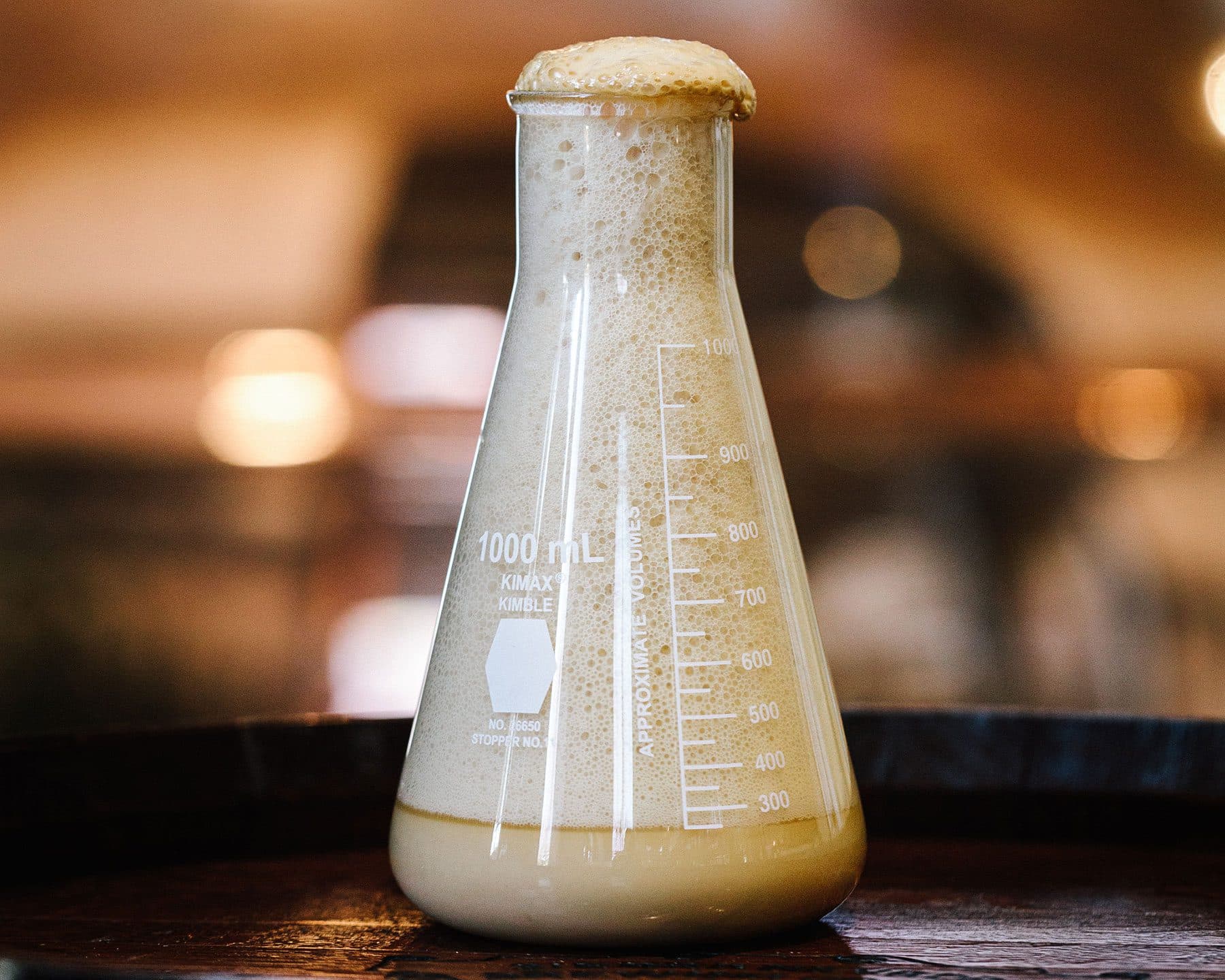 A flask full of brewing yeast