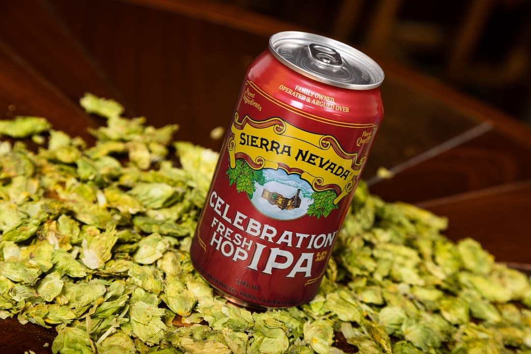 Celebration IPA can in bed of hops