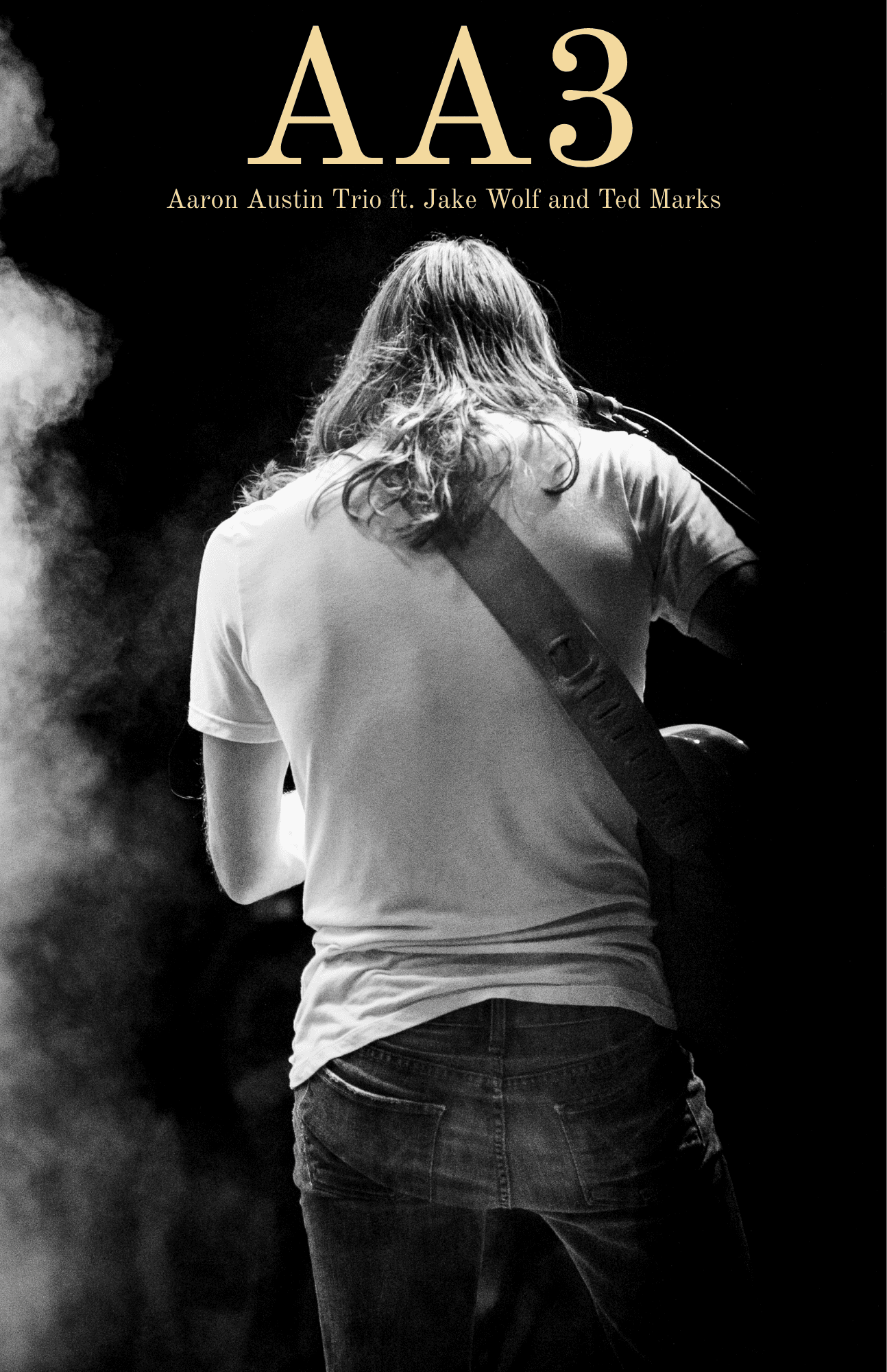 The Aaron Austin Band