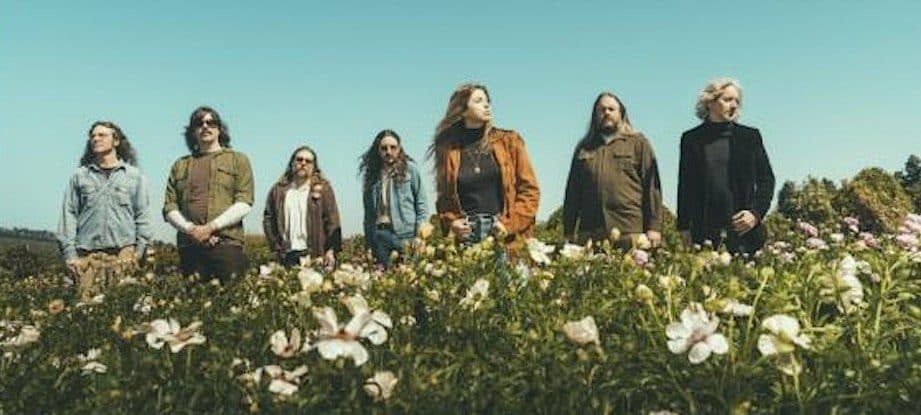 band members sitting in the grass